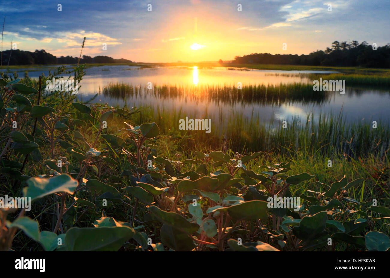 Kiawah Island Bass Pond Fotos e Imágenes de stock Alamy