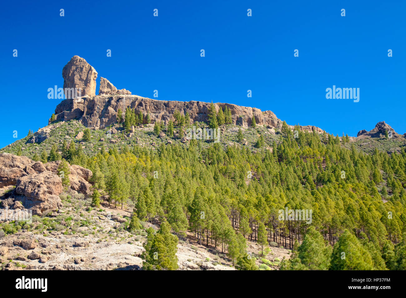 El centro de Gran Canaria en febrero, vista hacia el Roque Nublo, símbolo de la isla, desde el sur Foto de stock