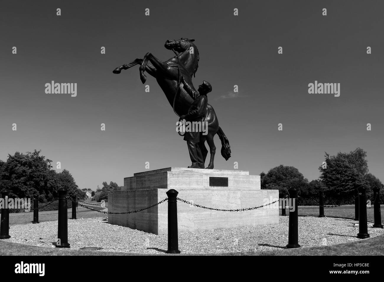 El semental de Newmarket estatua Por Marcia Astor y Allan sly, en el hipódromo de Newmarket, Suffolk, Inglaterra, Reino Unido. Foto de stock