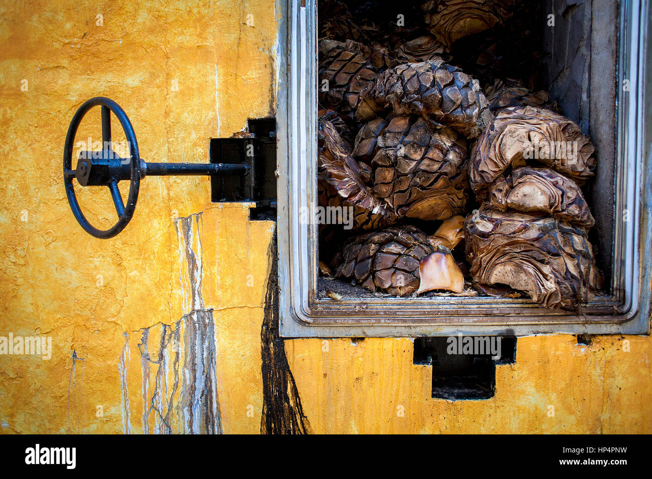 Agave cocido, horno para la cocción de agave, Jose Cuervo destilería de