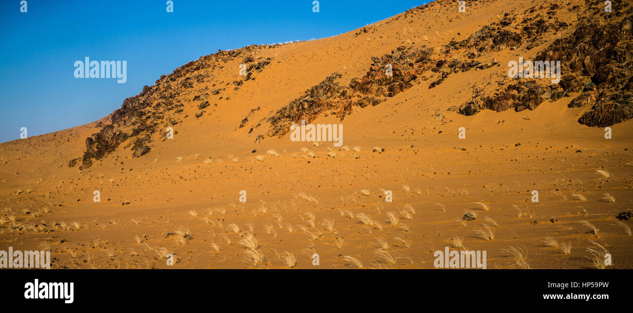 El Desierto de Namibia septentrional Foto de stock