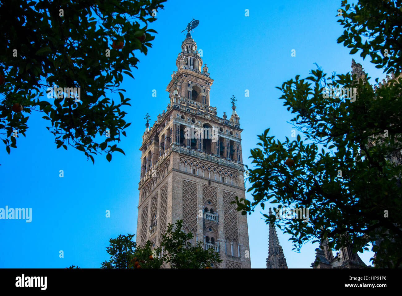 En vista de la catedral de La Giralda en Sevilla, España Foto de stock