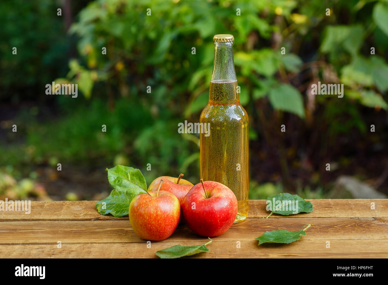 La sidra en botella de cristal y maduras manzanas frescas en la mesa de madera sobre la naturaleza del fondo con espacio de copia. Bebidas sidra de manzana sobre la mesa de madera. Todavía li Foto de stock