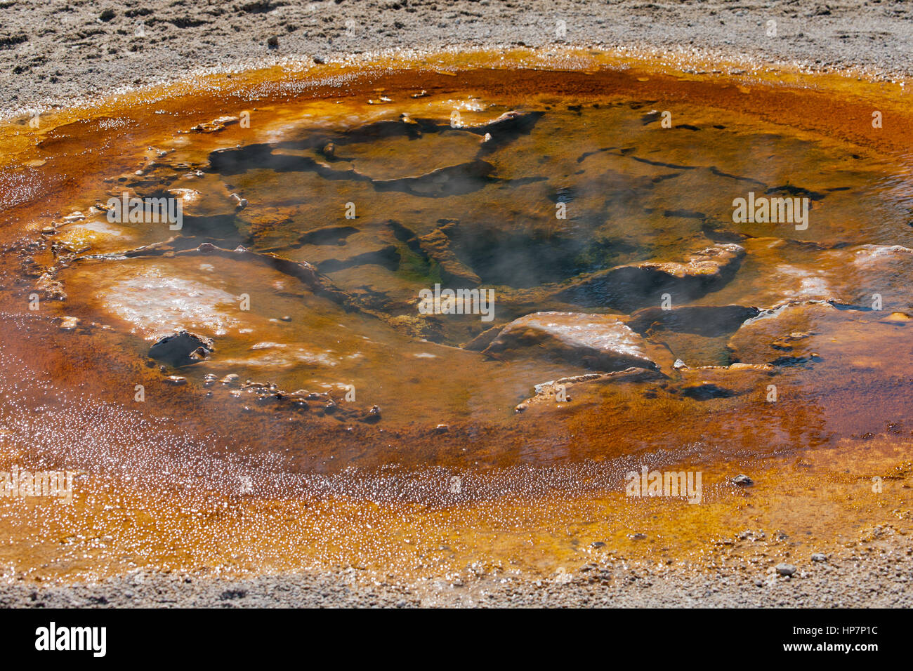 El Géiser económica en el Parque Nacional Yellowstone, Wyoming, EE.UU. Foto de stock