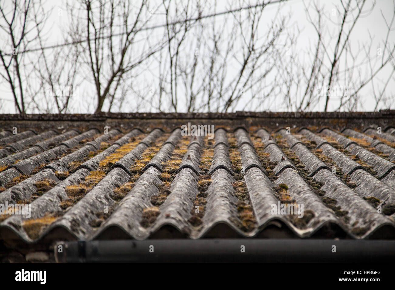 Techo Ondulado - Idea Sala De Estar