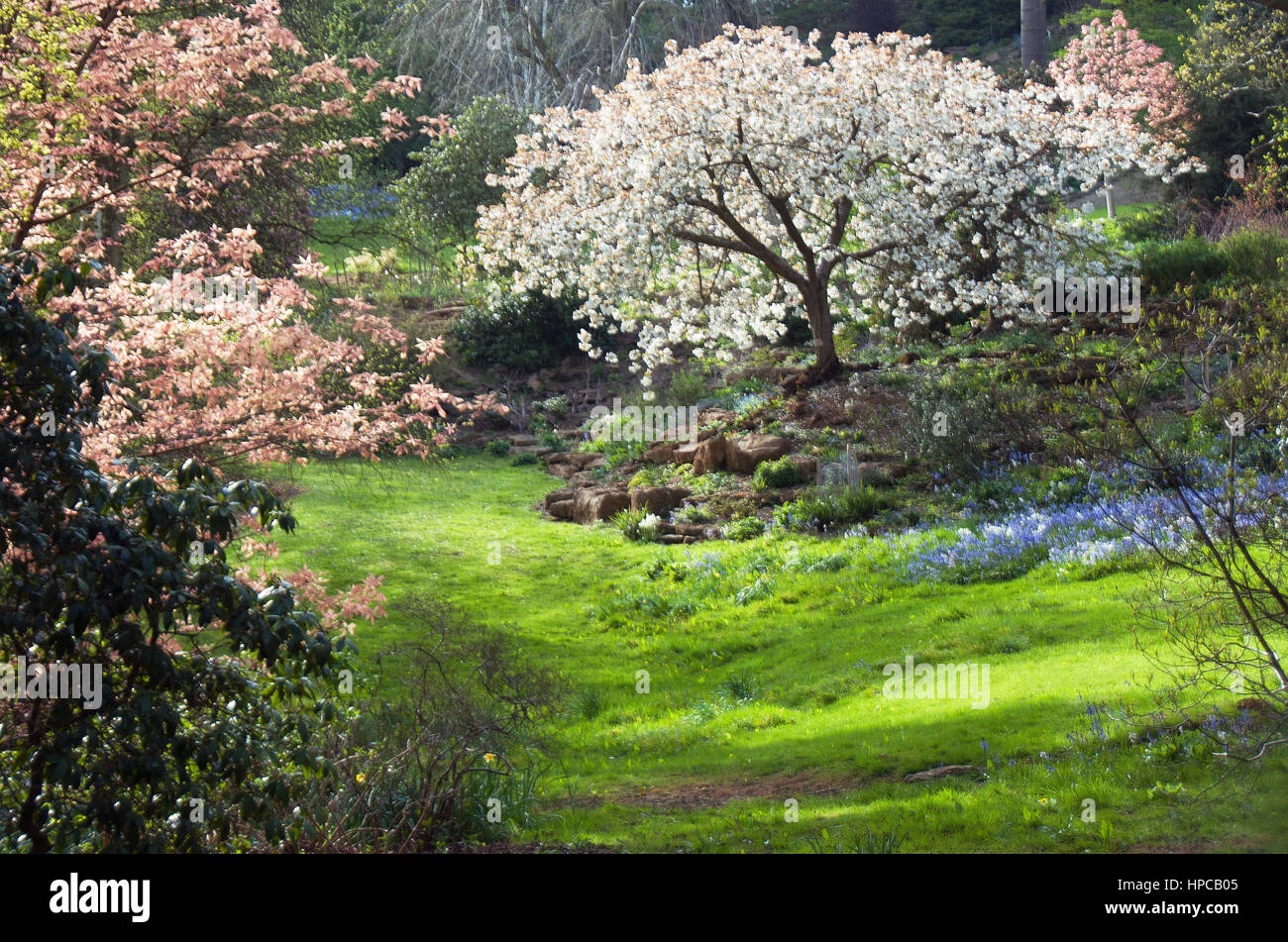 Una vista del jardín en BelvoirCastle Duchesss es como una pintura del impresionista Foto de stock