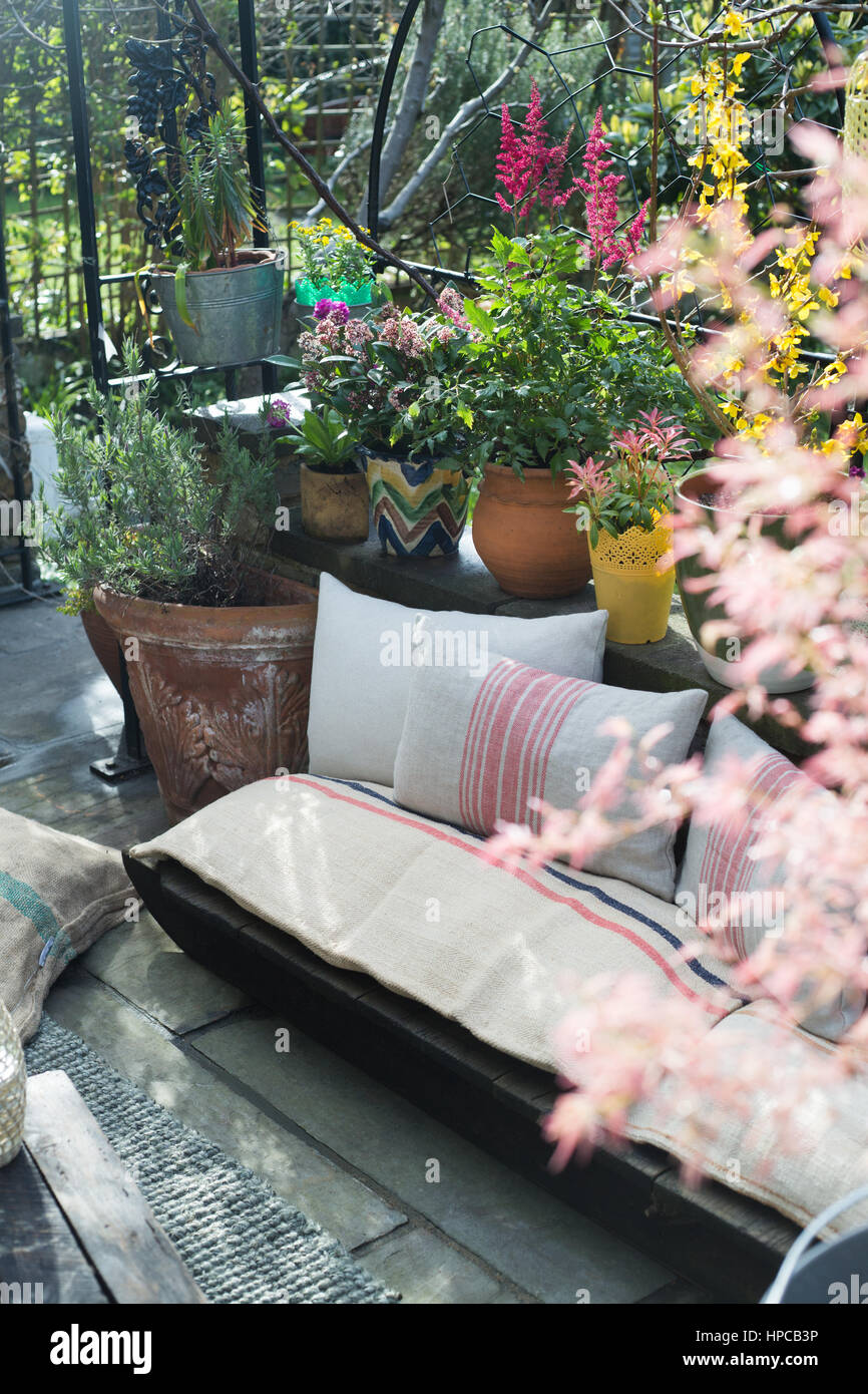 Un asiento en un soleado jardín urbano patio rodeado de plantas en el verano Foto de stock