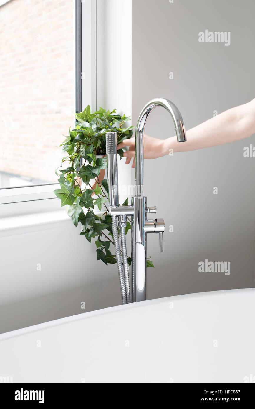 Mujer caucásica colocar las plantas por Bath Foto de stock