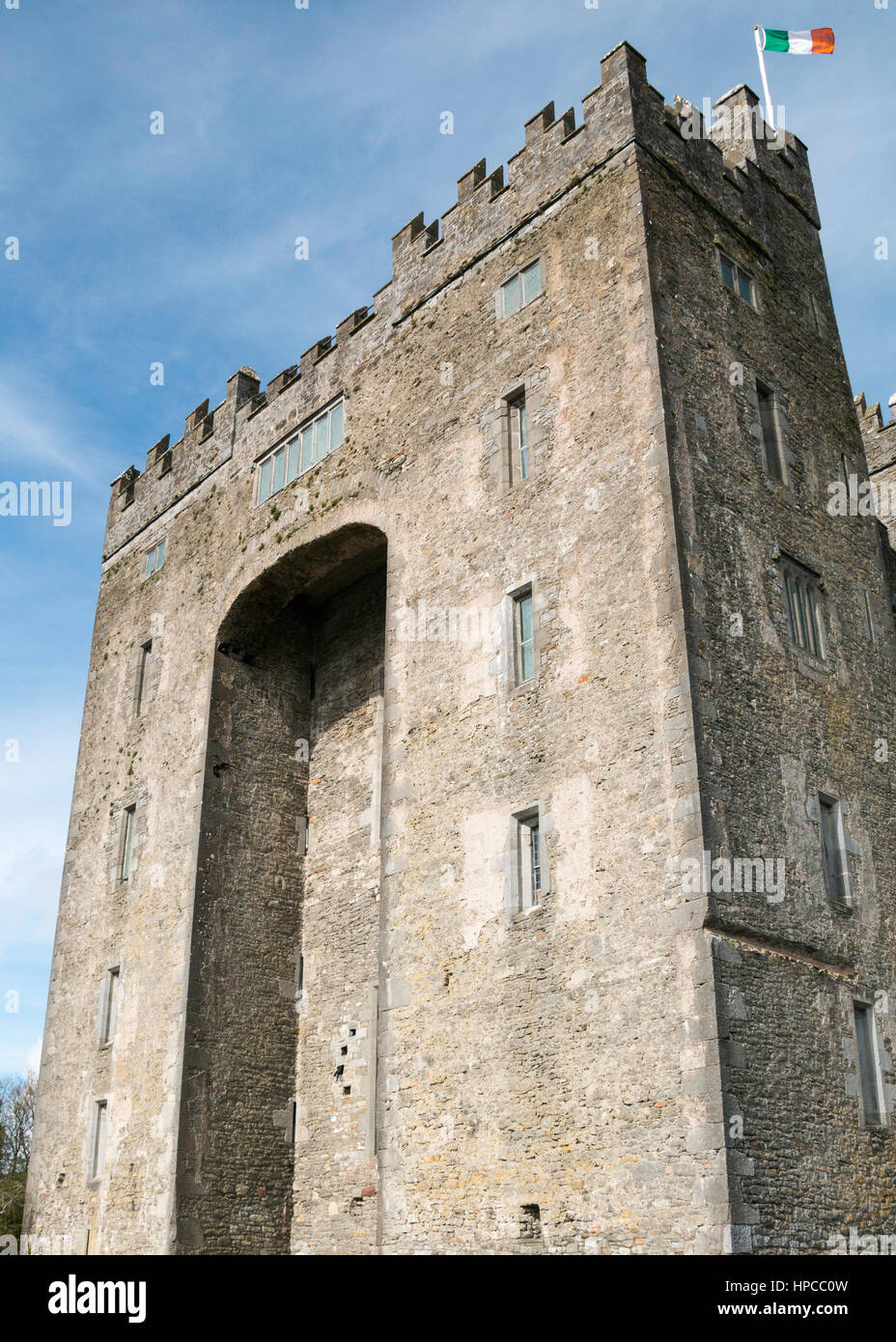 Castillo de Bunratty, Co Clare, Irlanda Foto de stock