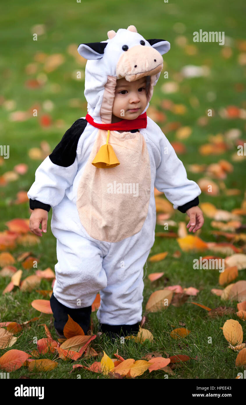 Lindo infante en una vaca disfraz de Halloween Fotografía de stock