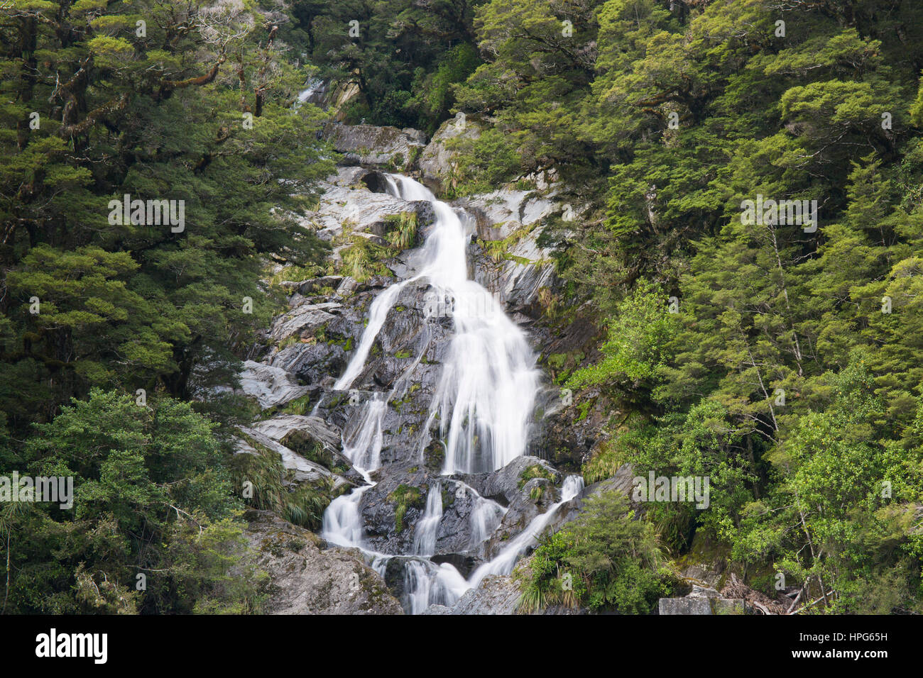 Haast Pass, Parque Nacional Monte aspirantes, Costa oeste, Nueva Zelanda. Castillo de popa Falls. Foto de stock