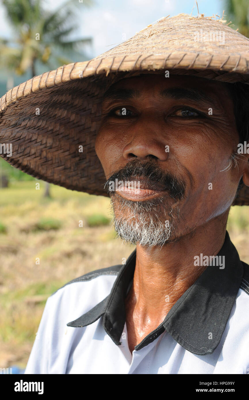 Bali, Paddy, retrato, sombrero de paja Fotografía de stock - Alamy