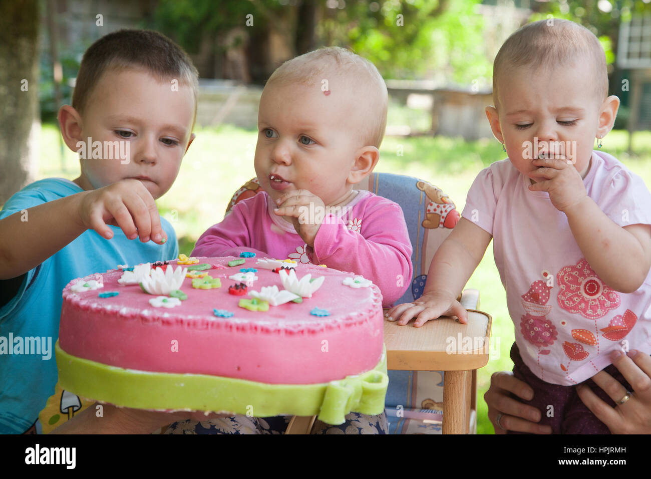 Niño celebrando un año con una celebración de cumpleaños pastel de frutas  Fotografía de stock - Alamy