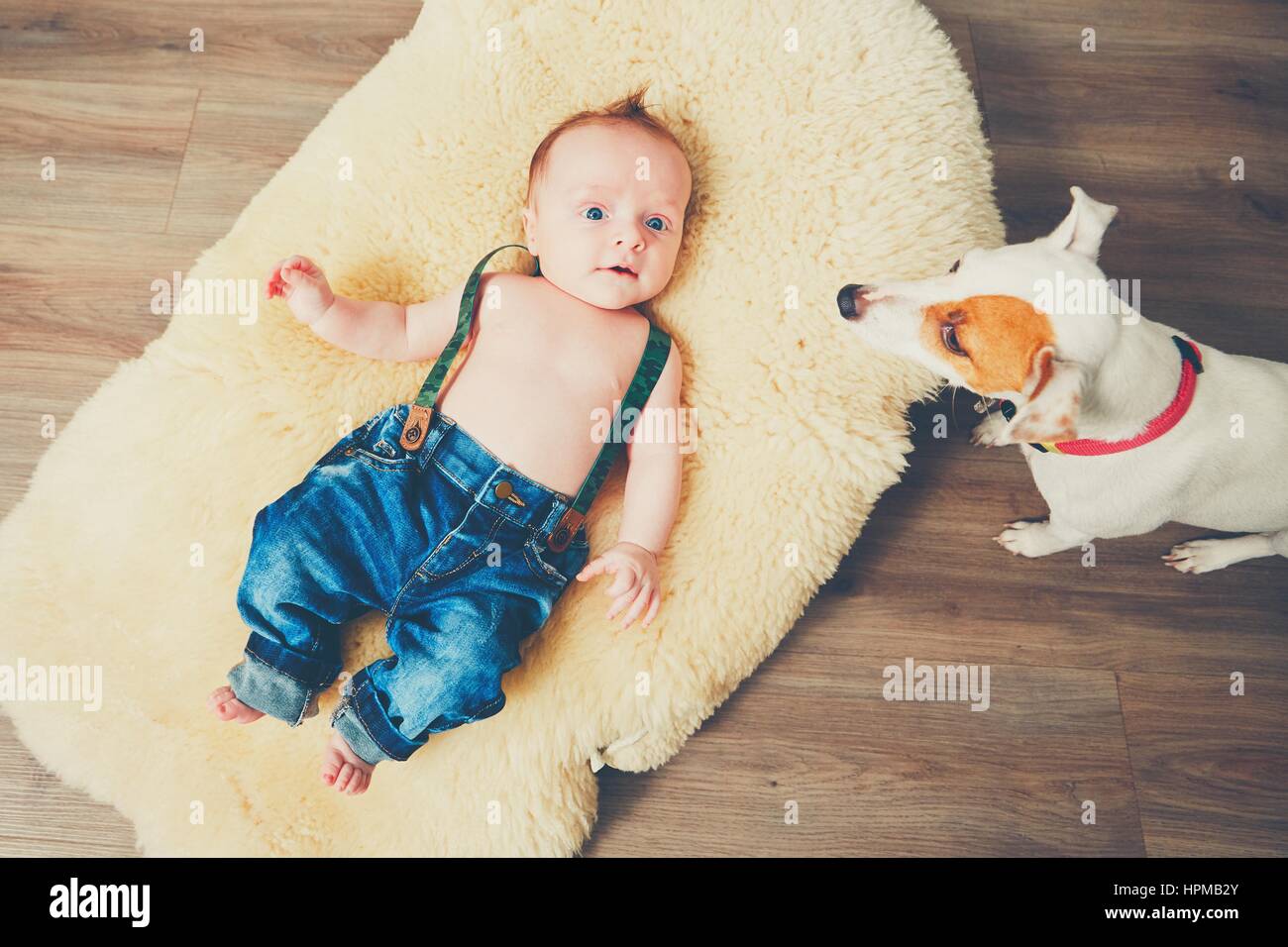 Chico y perro en casa. Adorable bebe descansando sobre el quillango. Foto de stock