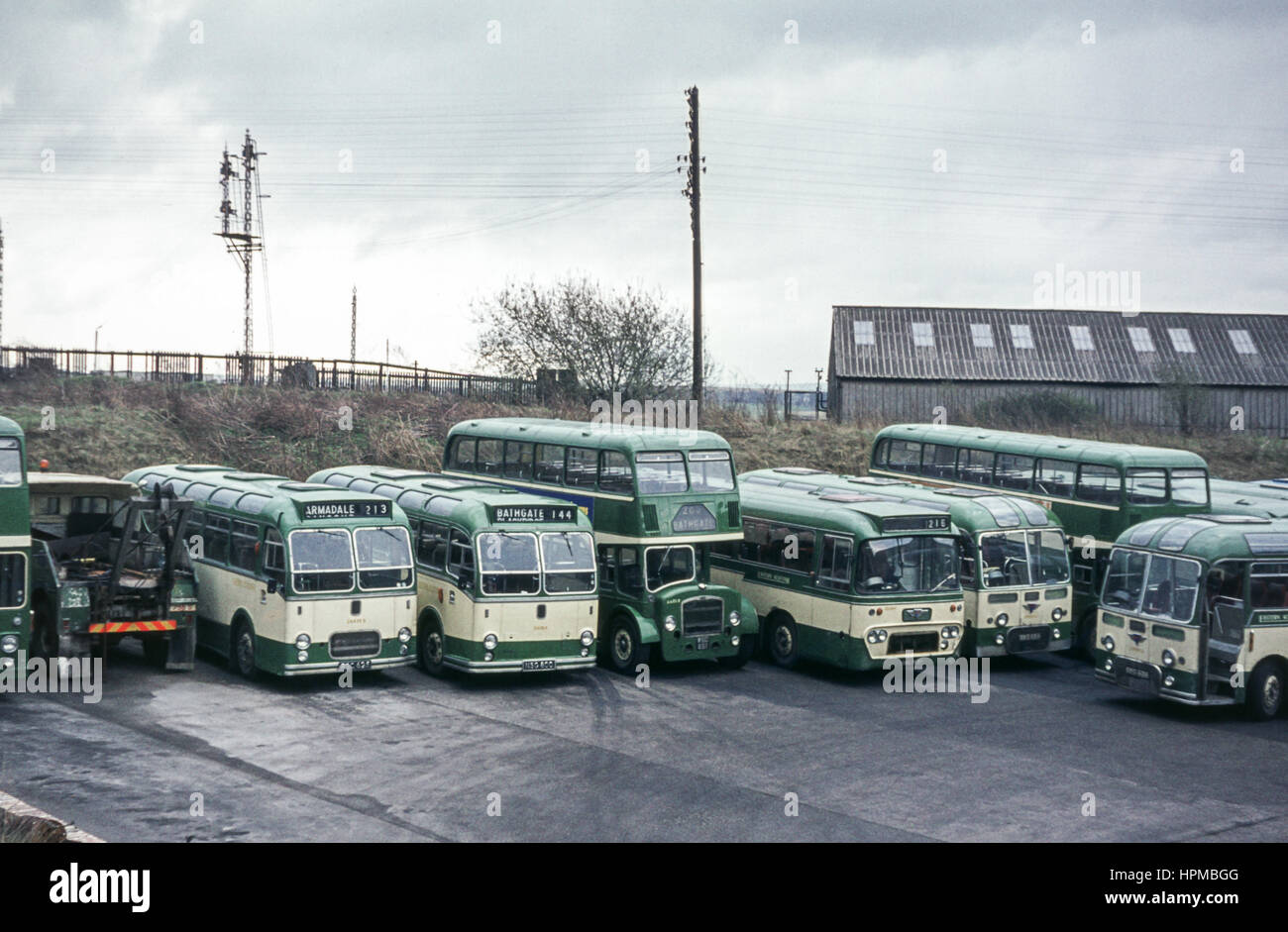 Escocia, Reino Unido - 1973: Vintage imagen de autobuses en autobús patio. Con los autobuses de la flota escocesa oriental incluidos los autocares MW6G/ECW A625 (número de registro 625) y RSC LS6G/ECW A38 (número de registro 800 NSG) plus double decker LD6G/ECW AA851 (número de registro WSC 851) Foto de stock