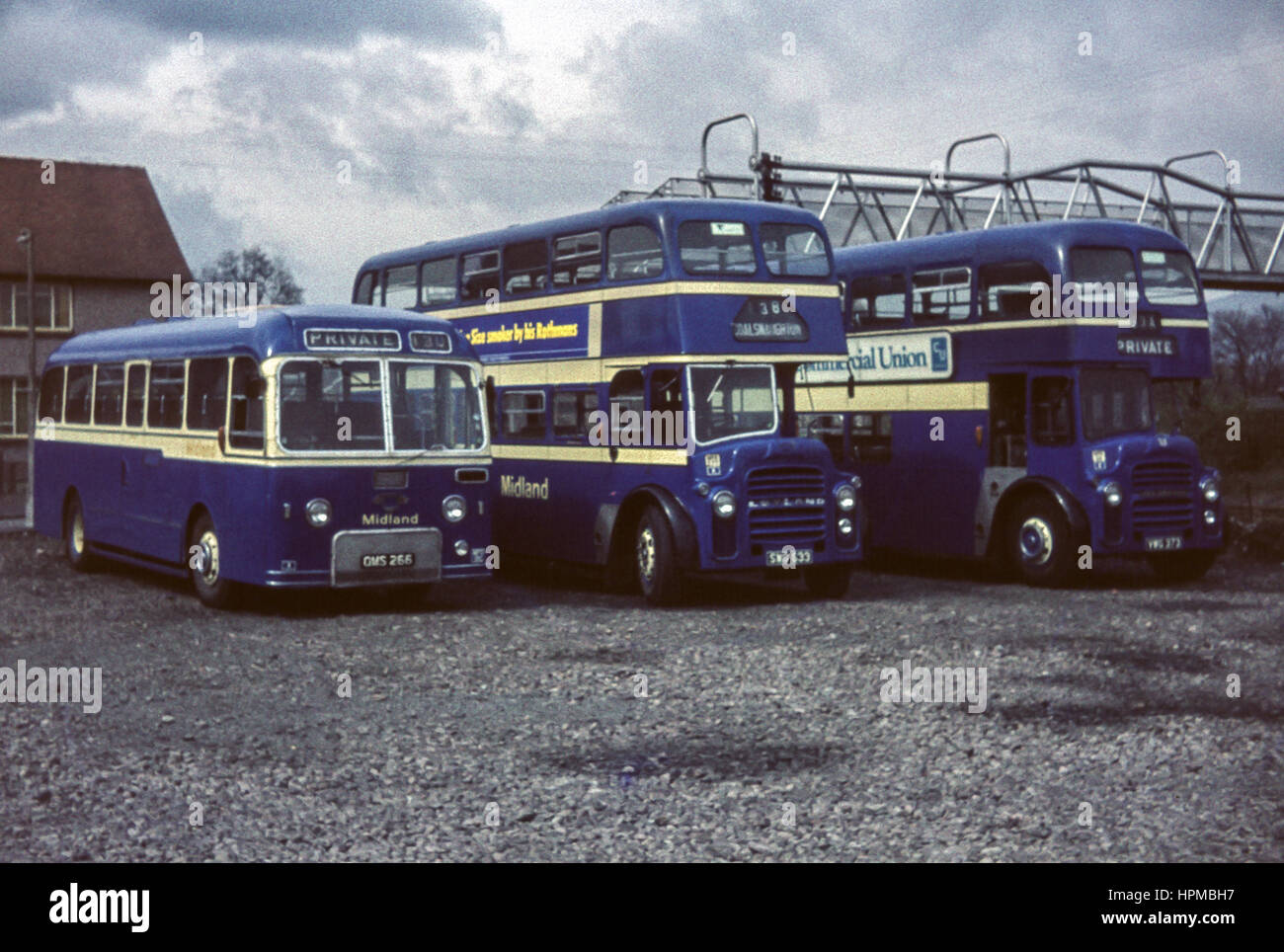 Escocia, Reino Unido - 1973: Vintage imagen de autobuses. Alexander Midland autobuses estacionados en el patio (inscripciones OMS 266 y GTS 633). Foto de stock