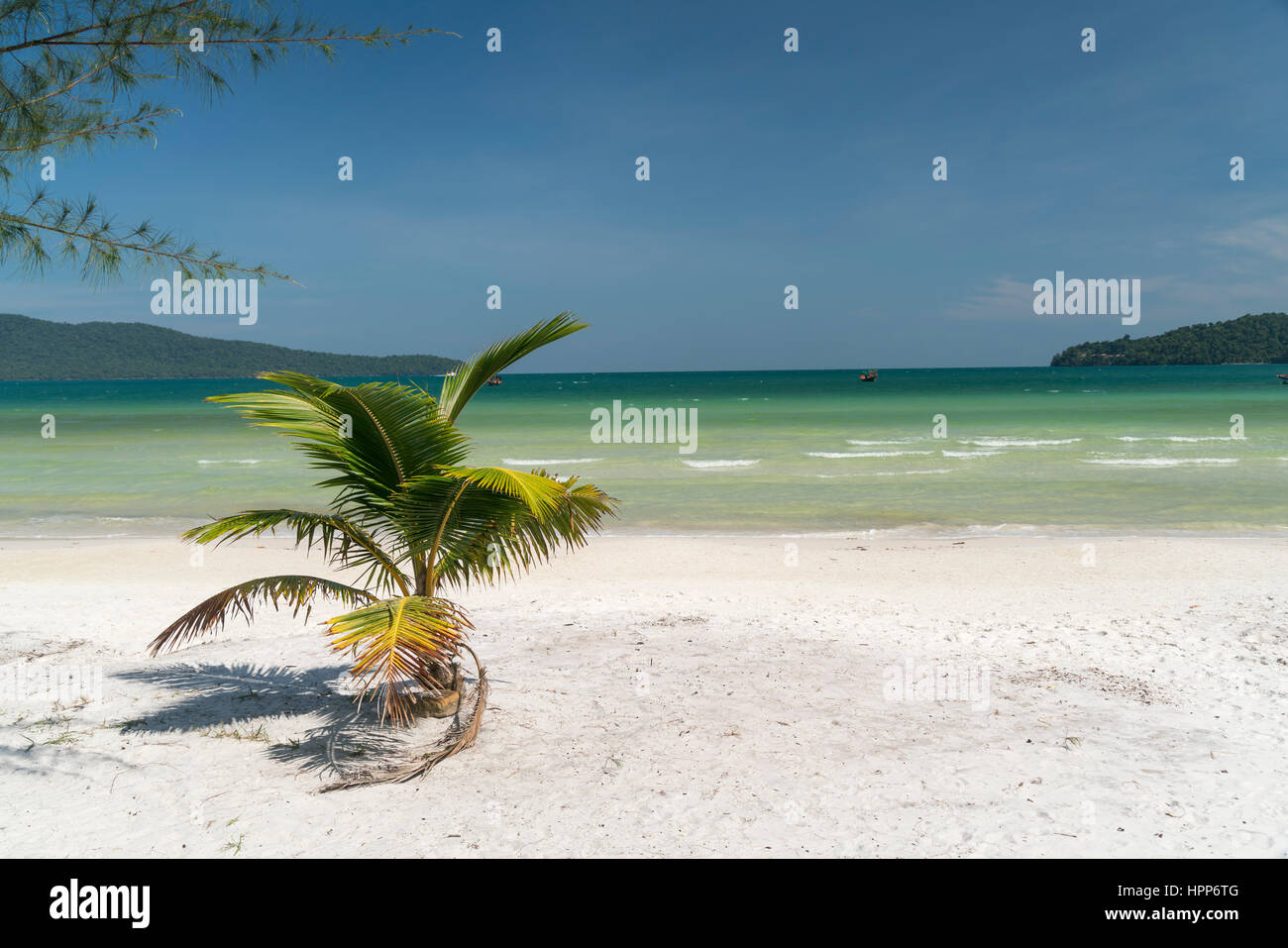 Camboya, Koh Rong, Sanloem sarracenos, bahía de playa con Palm Foto de stock