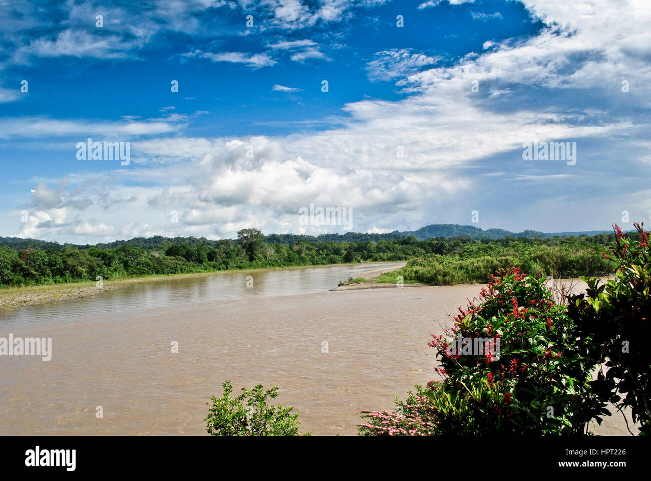 Río Napo. La Amazonia. La provincia de Napo. Ecuador Foto de stock