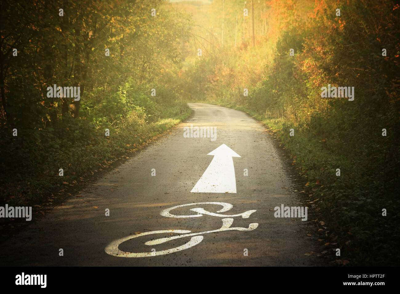 Bike road en la naturaleza Foto de stock