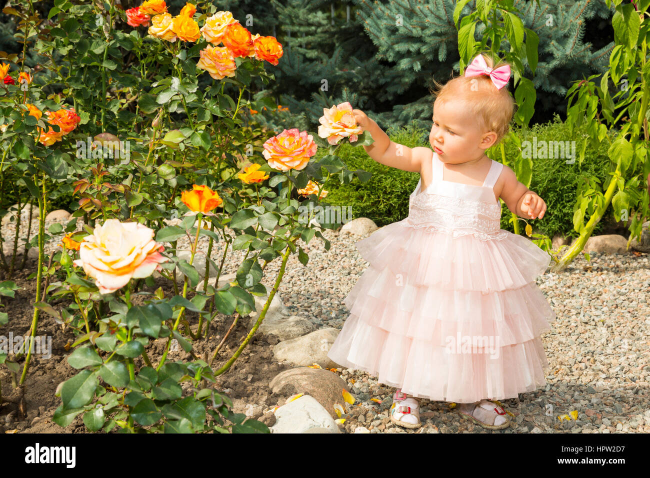 Feliz chica bonita kid celebrar su cumpleaños con rosa de decoración en un hermoso jardín. Emociones humanas positivas sentimientos de alegría. Foto de stock