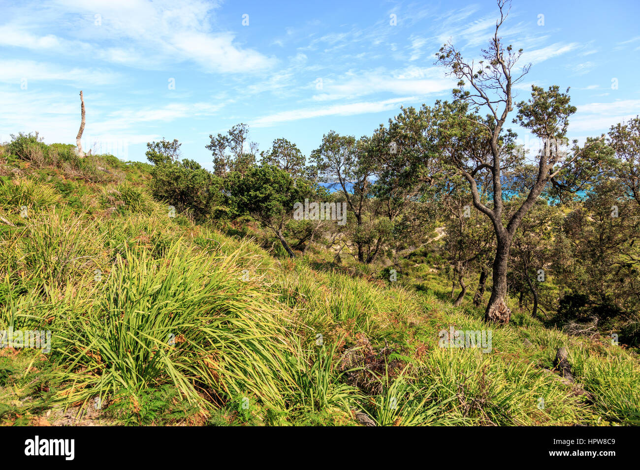 El parque nacional de Booderee en hers bay con naturaleza verde y bush, Australia Foto de stock