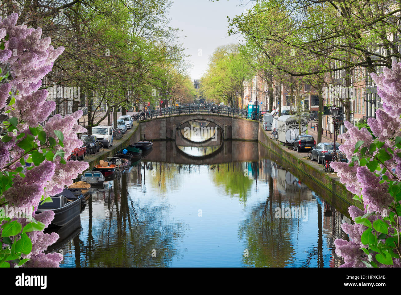 Fila de puentes sobre el canal con espejo reflejos en el agua, Amstardam,  los Países Bajos, con flores de color lila Fotografía de stock - Alamy