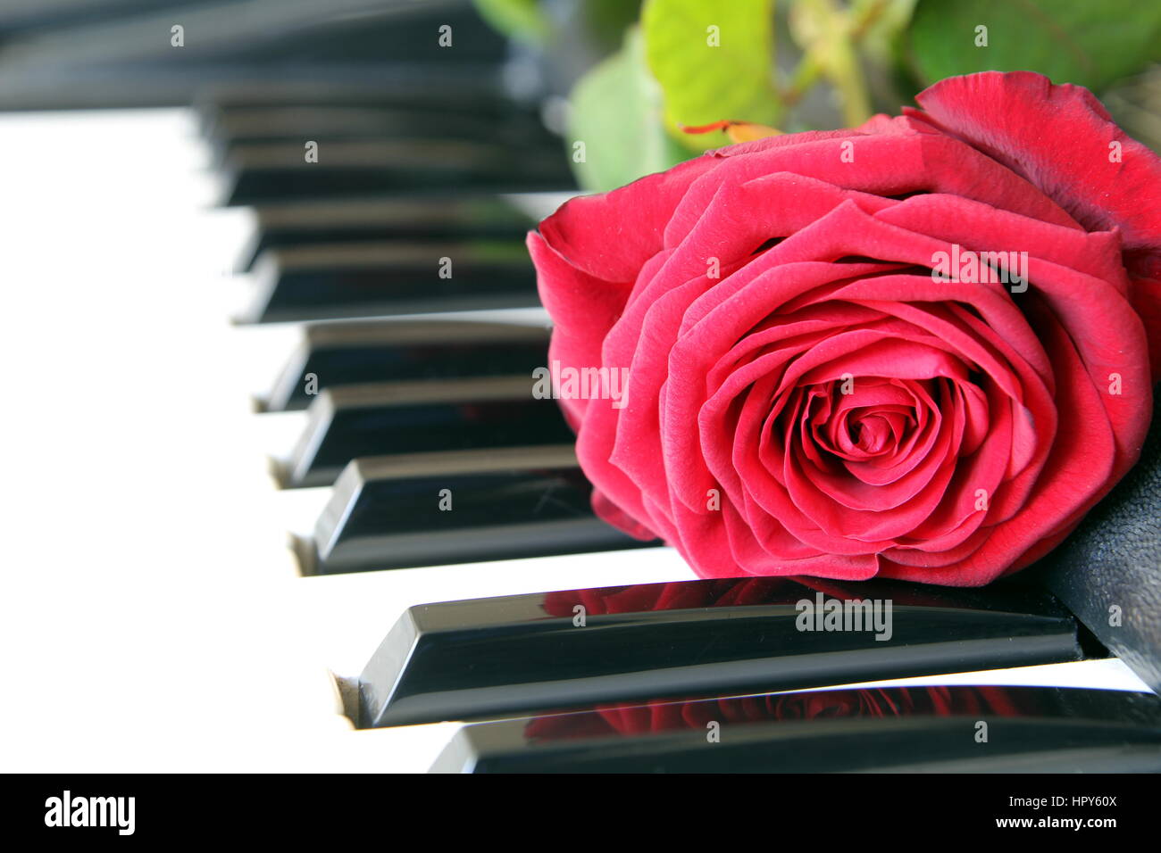 Musica romantica fotografías e imágenes de alta resolución - Alamy
