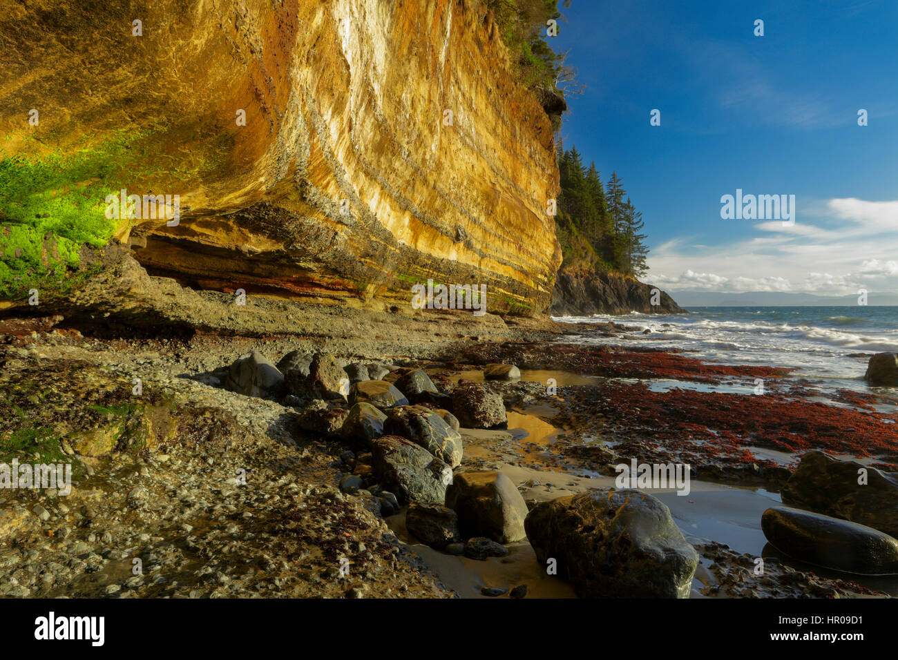 Los acantilados de arenisca de Mystic Beach en la soleada tarde de invierno-Río Jordán, British Columbia, Canadá. Foto de stock