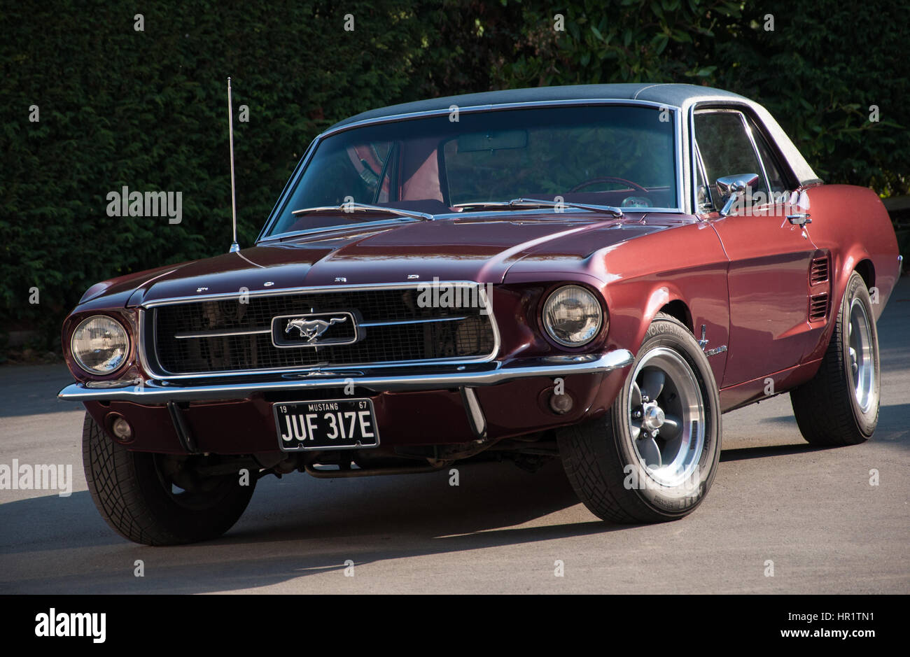 Clásico de 1967 Ford Mustang Coupe en Borgoña con empuje par D ruedas buena mirando el sol Foto de stock