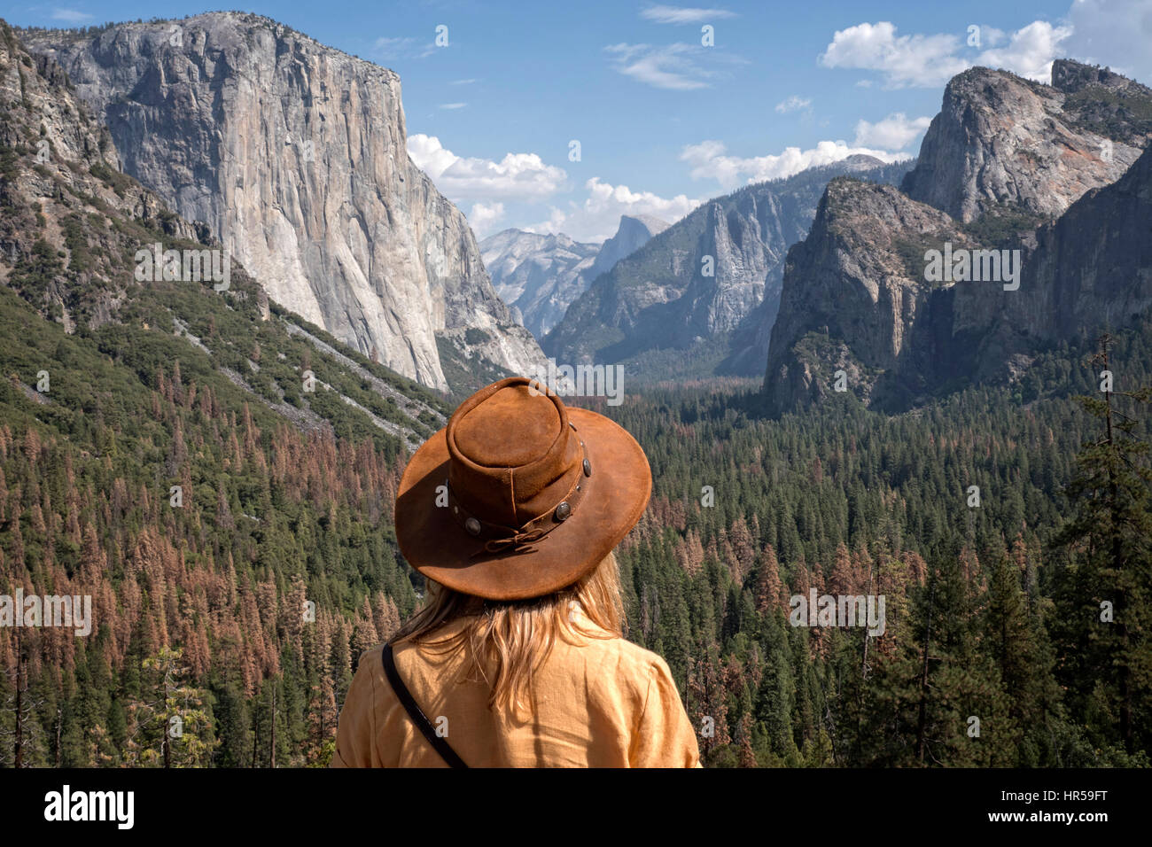 Turista mirando hacia el valle de Yosemite en el Parque Nacional Yosemite Foto de stock