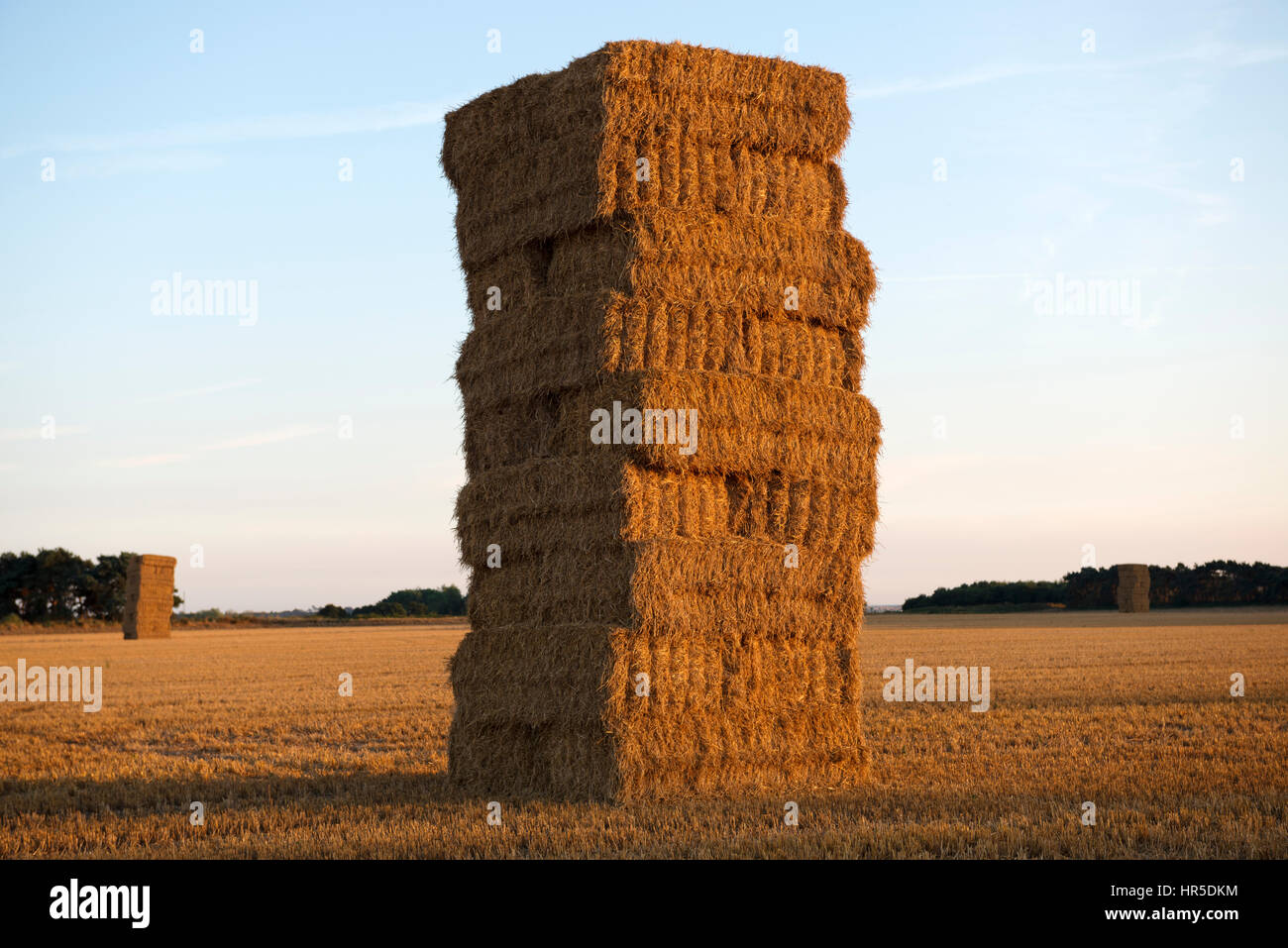 Los fardos de paja apiladas en el campo Fotografía de stock - Alamy