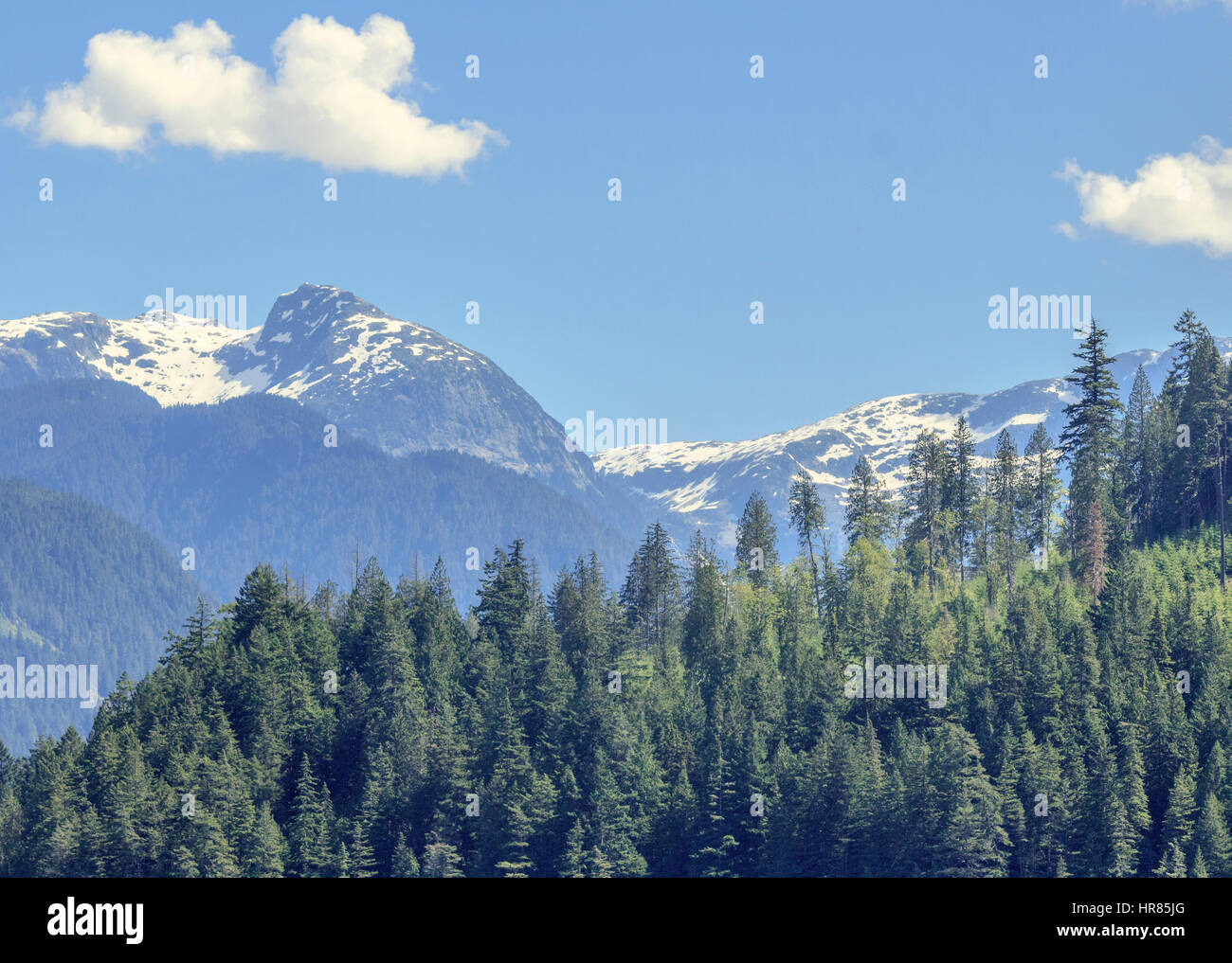 Los altos picos y glaciares de la costa de Columbia Británica Cordillera torre detrás una cota inferior del bosque de ladera. Foto de stock