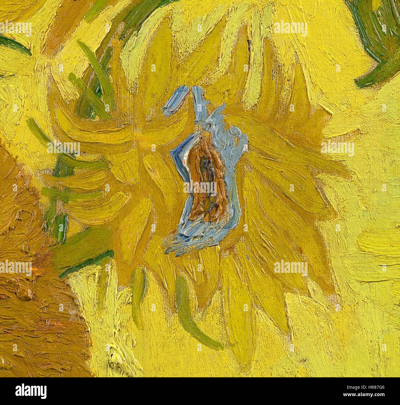 Vincent van Gogh - Girasoles - VGM F458 (detalle) Foto de stock