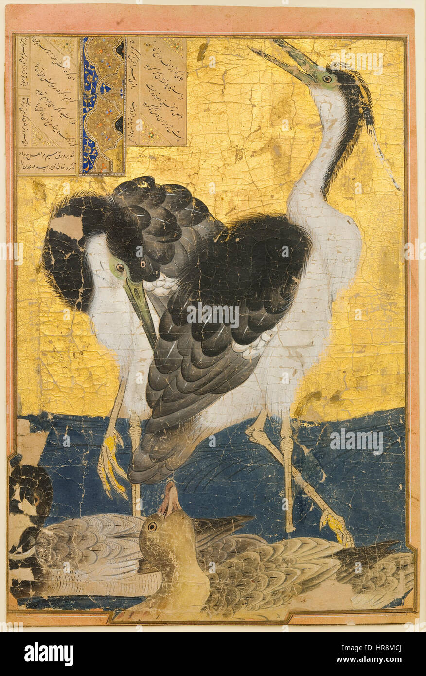 Desconocida, Irán, Siglo XIV - dos garzas con patos - Proyecto de arte de  Google Fotografía de stock - Alamy