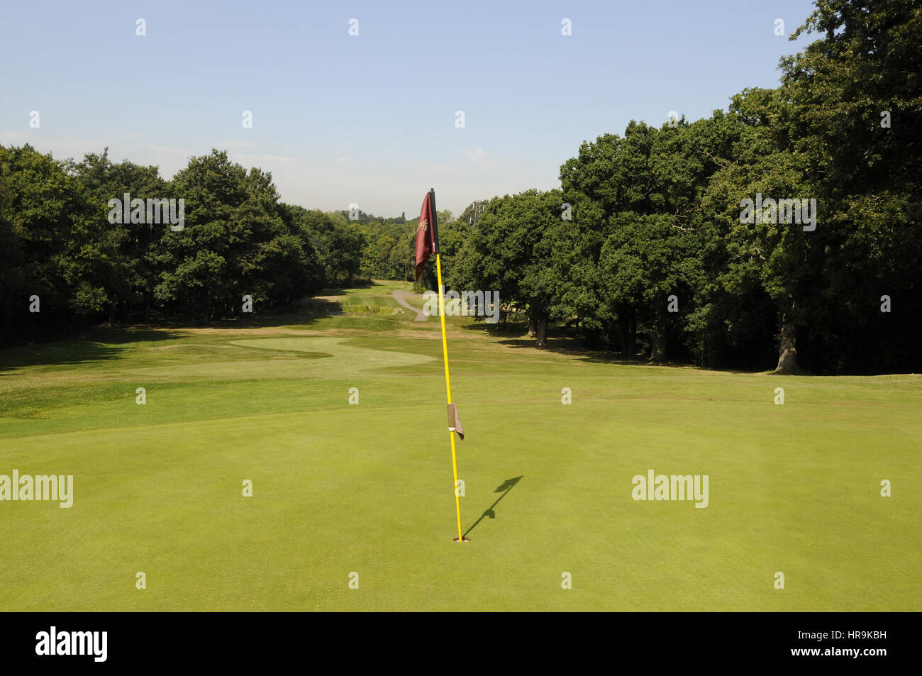 Ver más 11ª verde hacia el Tee, Leatherhead Golf Club, Leatherhead, Surrey, Inglaterra Foto de stock