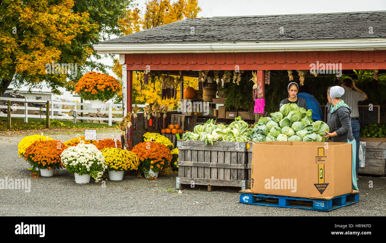 Un mercado de venta de productos de granja de calabazas y calabazas cerca de Walnut Creek, Ohio, EE.UU. Foto de stock