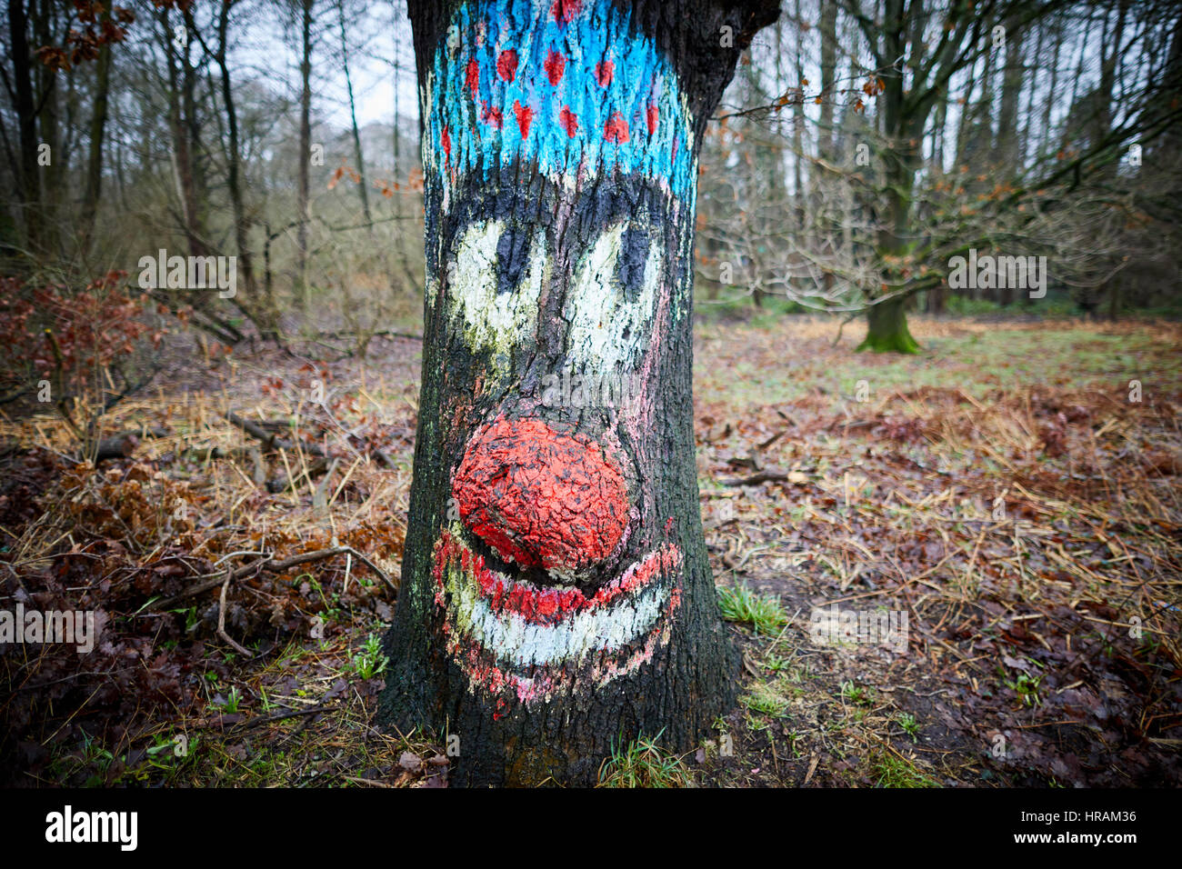 Pintados a mano de obra cara estilo payaso feliz agrandar árbol con su propio Facebook seguidores Alsager Cheshire East cerca de Stoke-on-Trent Foto de stock
