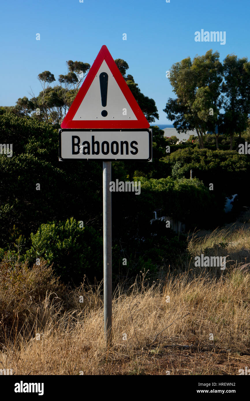 Señal de advertencia sobre la carretera de Babuino, Cape Town, Sudáfrica Foto de stock