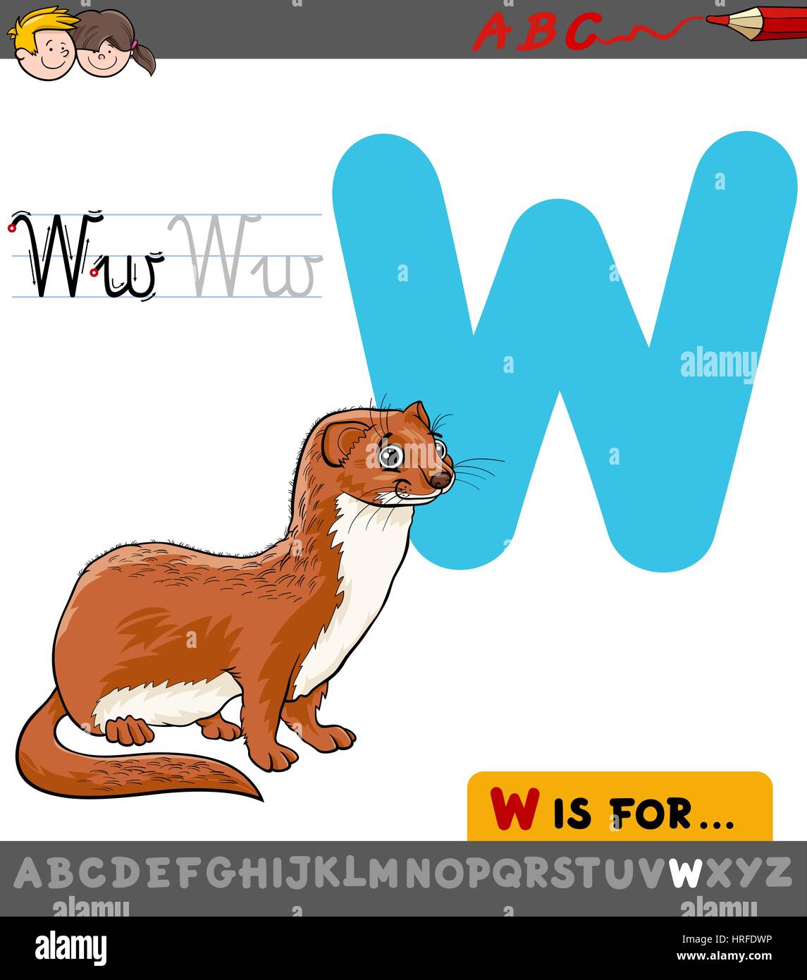 Ilustración de dibujos animados educativos de la letra W del abecedario con  comadreja Animal para niños de carácter Imagen Vector de stock - Alamy