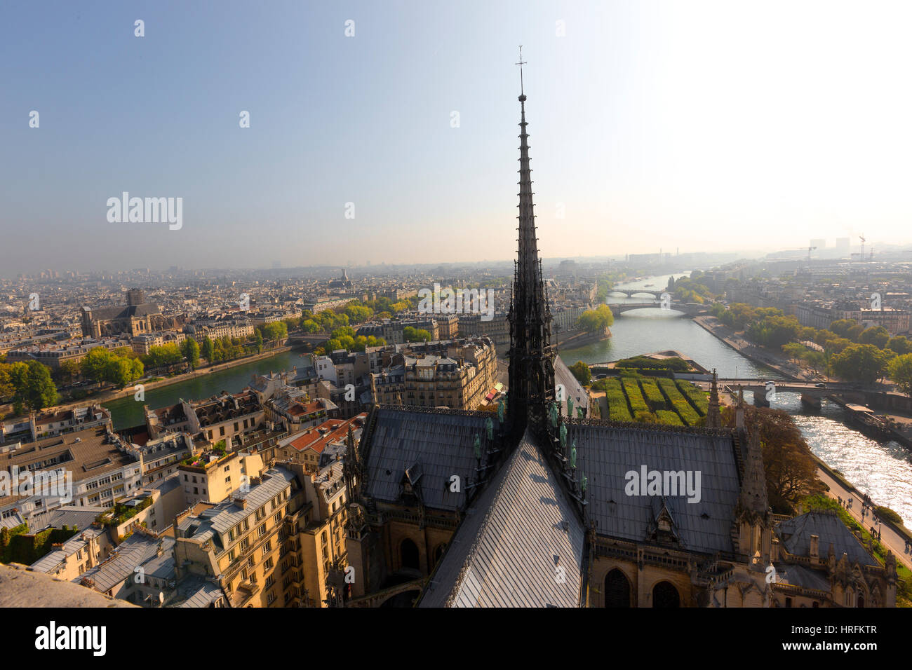 La catedral de Notre Dame, Ile de ciudades, París, Francia Foto de stock