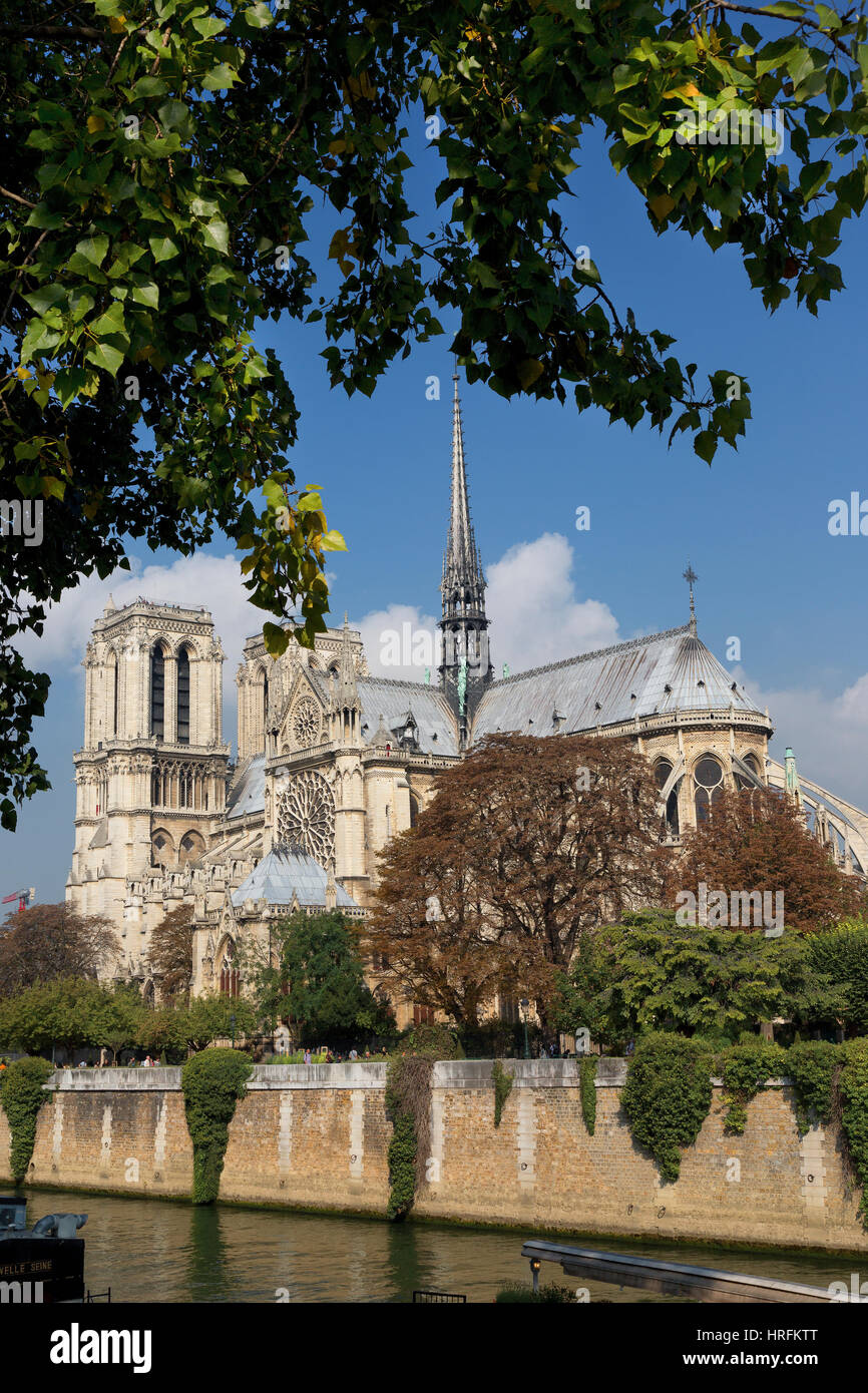 La catedral de Notre Dame, Ile de ciudades, París, Francia Foto de stock