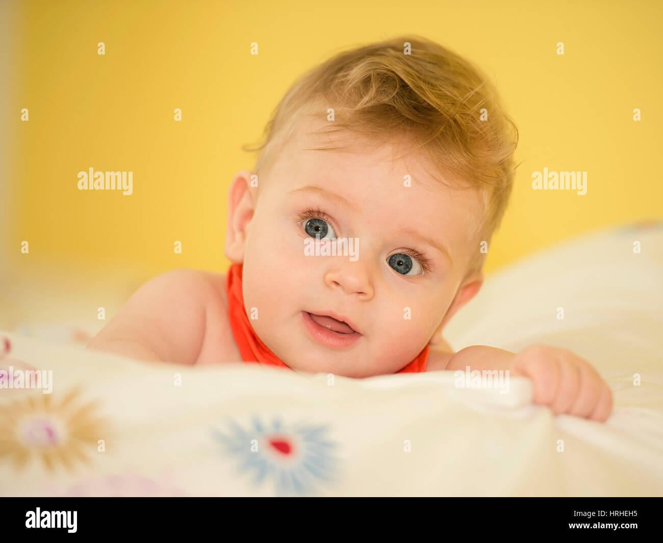 Bub, 6 Monate alt - Little Boy, 6 mes Foto de stock