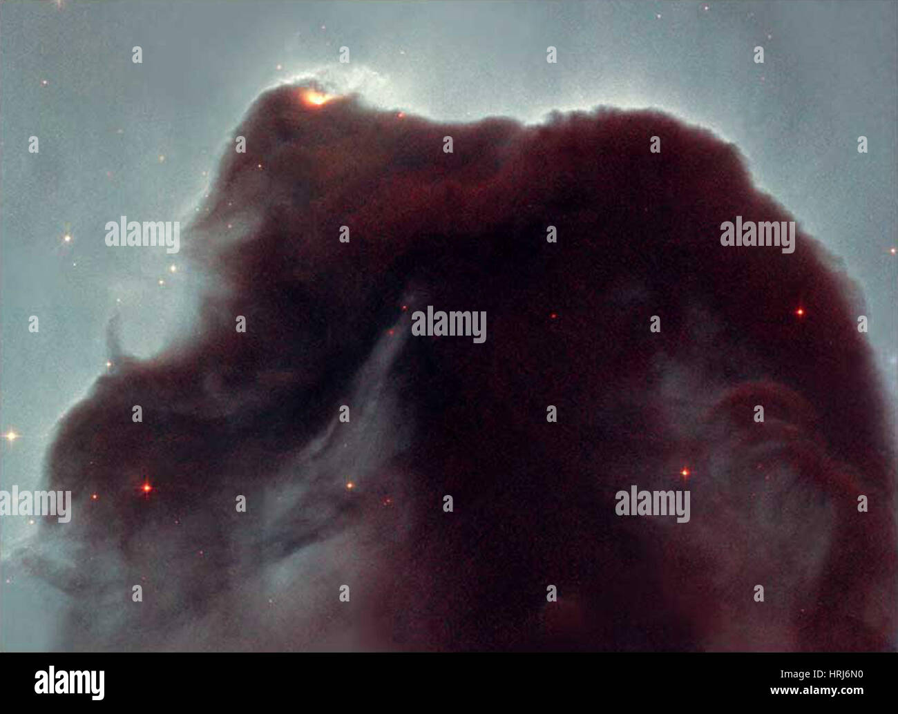 Barnard 33, B33, Horsehead Nebula Foto de stock