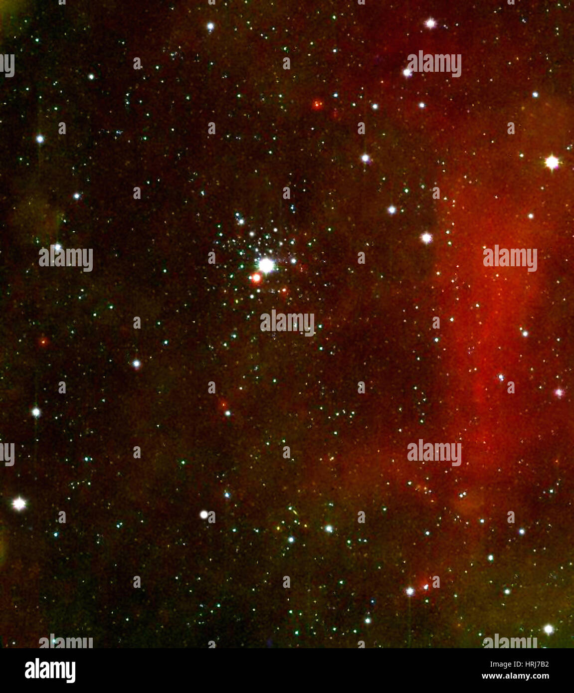 NGC 2362, Caldwell 64, Tau Canis Majoris Cluster, Open Cluster Foto de stock
