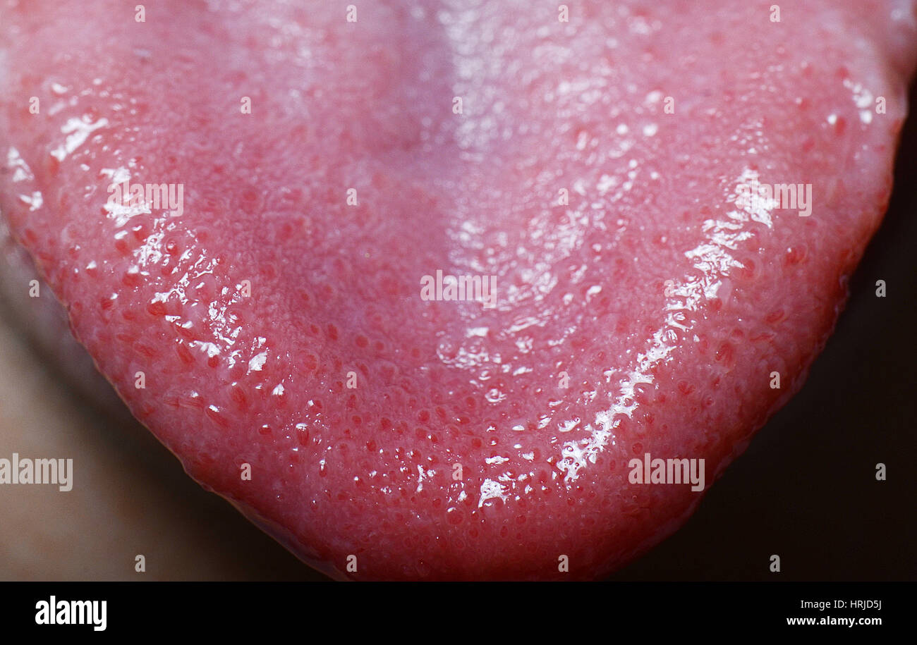 Las papilas gustativas en la punta de la lengua Fotografía de stock - Alamy