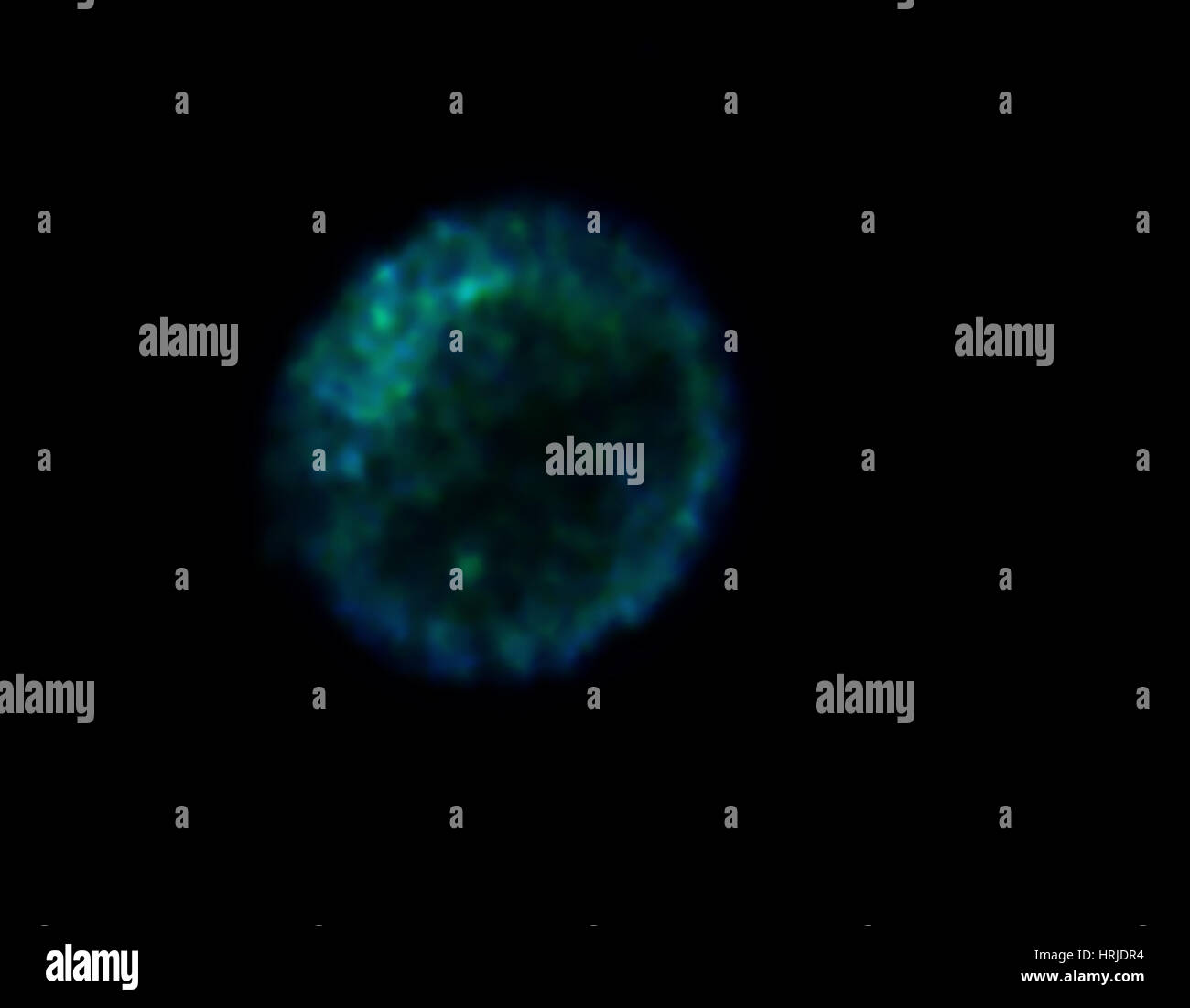SNR 0509-67.5, Remanentes de Supernova, rayos X Foto de stock