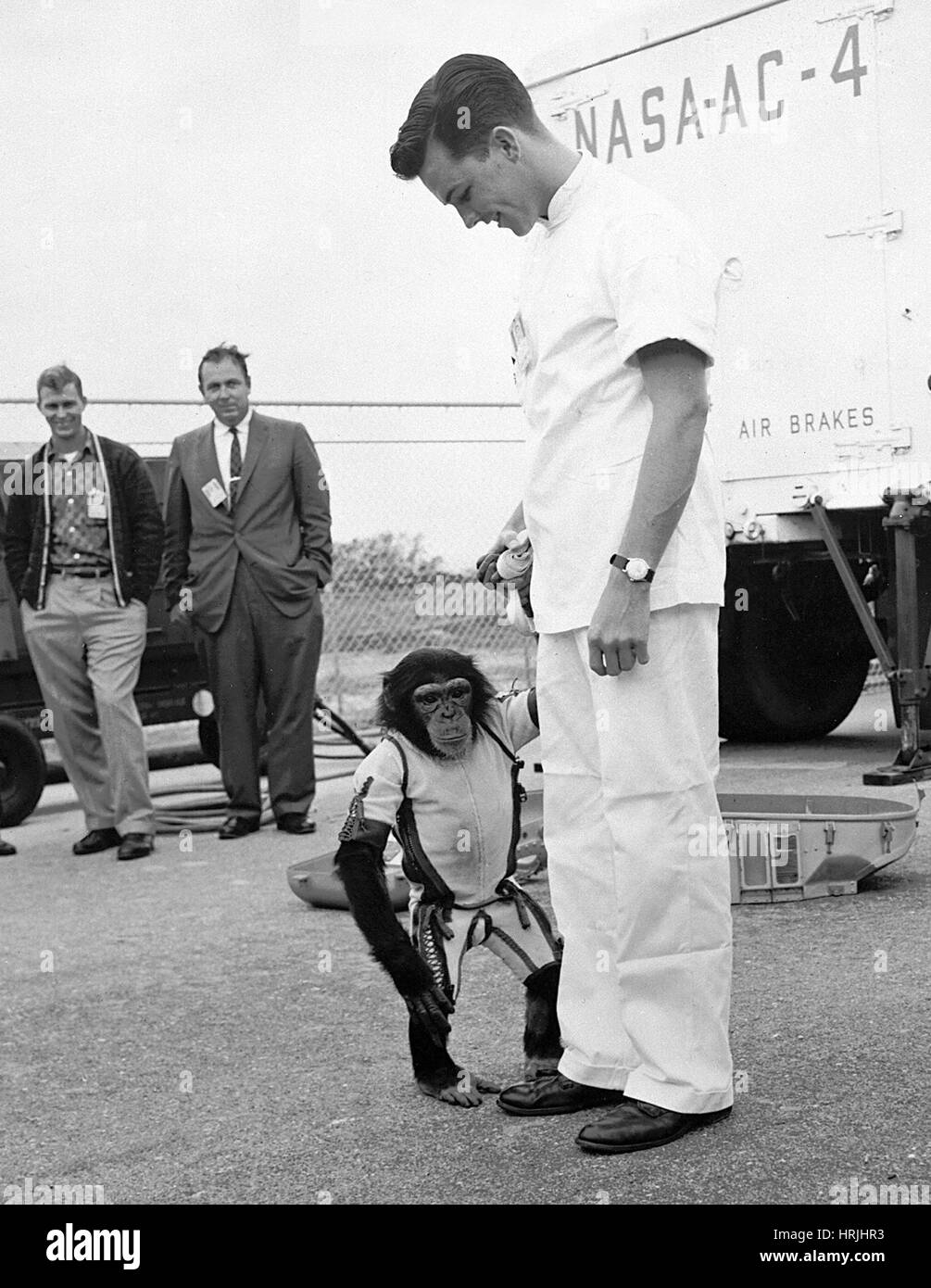El jamón, el primer chimpancé en el espacio, 1961 Foto de stock