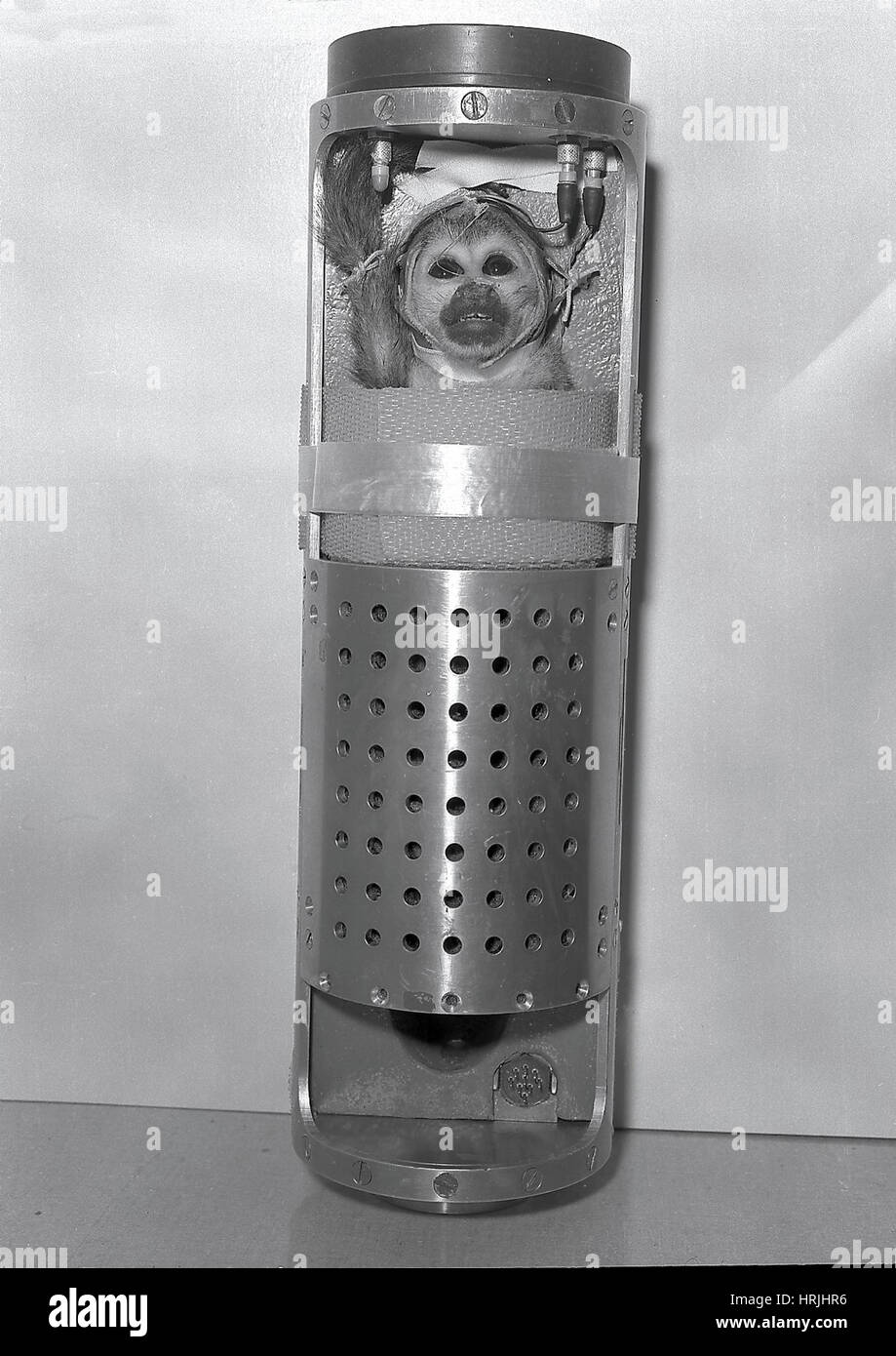 Srta. Baker, pionero Espacial Americana, 1959. Foto de stock
