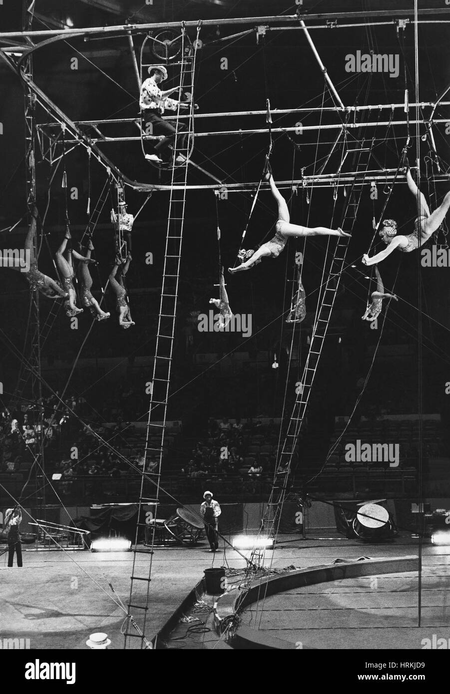 Ringling barnum bailey fotografías e imágenes de alta resolución Alamy