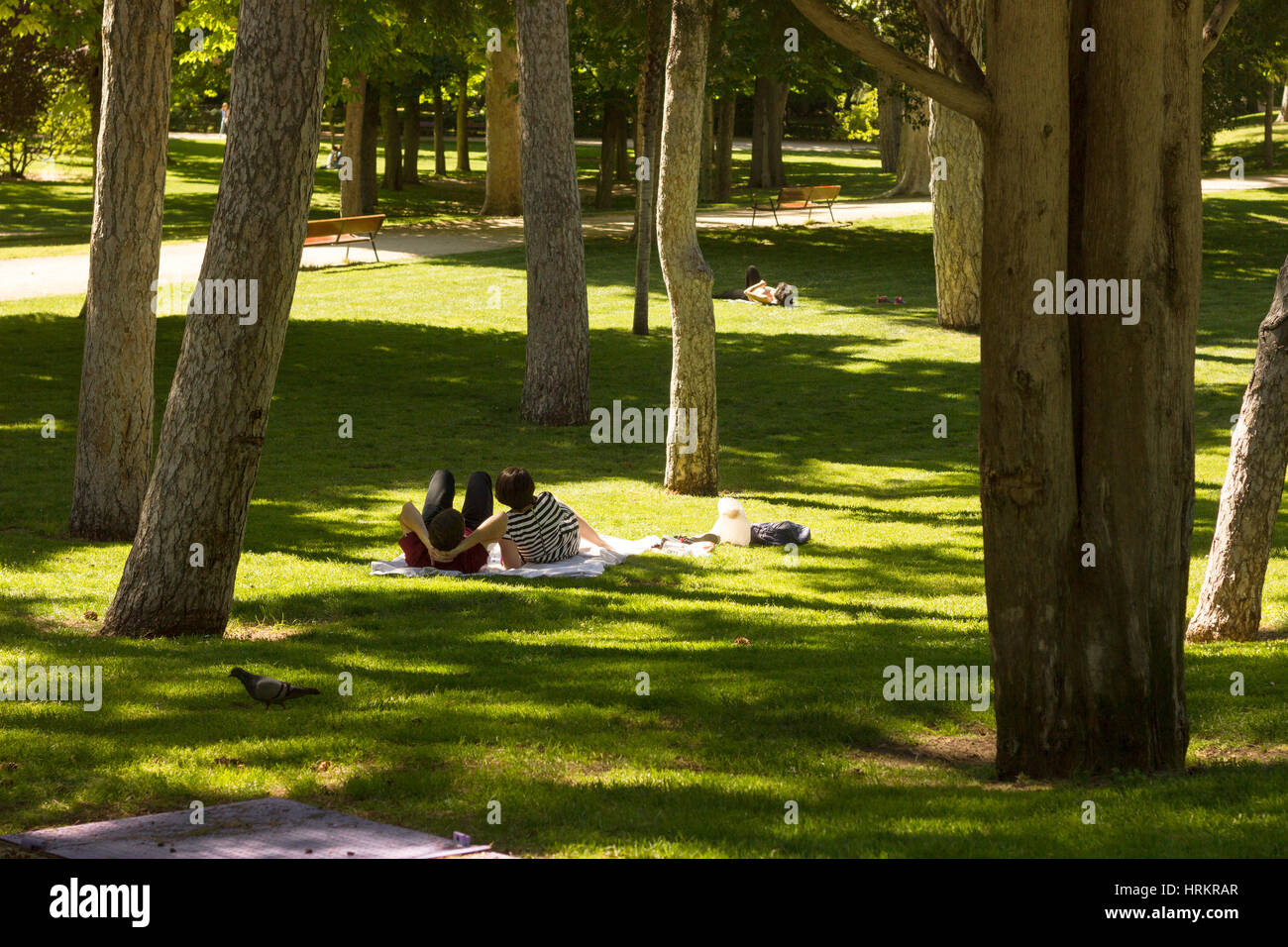 Una pareja y una persona en el fondo disfrutando del sol de tarde de verano en el Parque del Retiro, Madrid, España Foto de stock